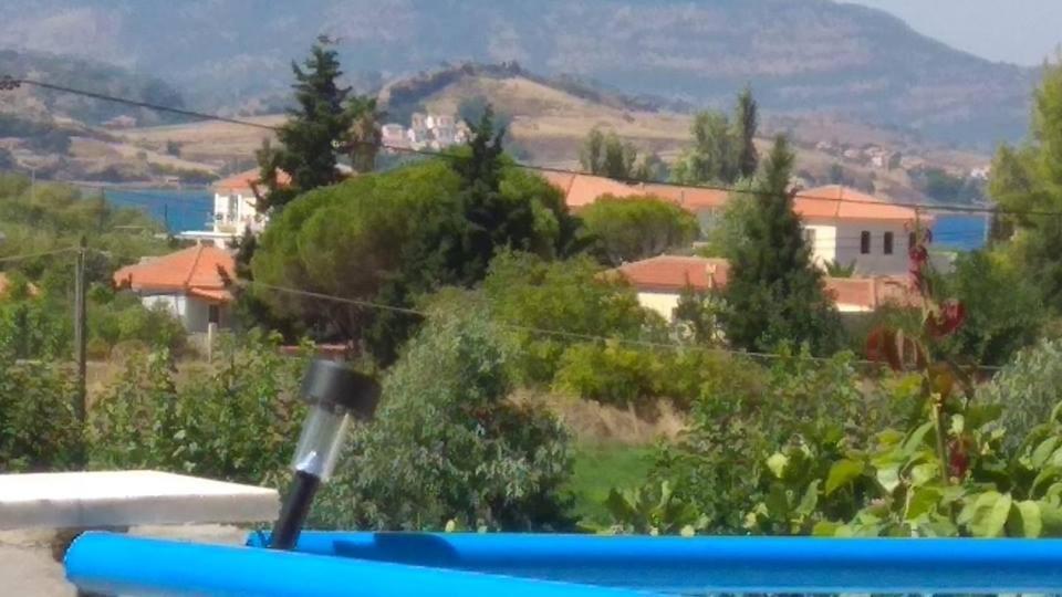 Kavaki Studios Πέτρα Εξωτερικό φωτογραφία