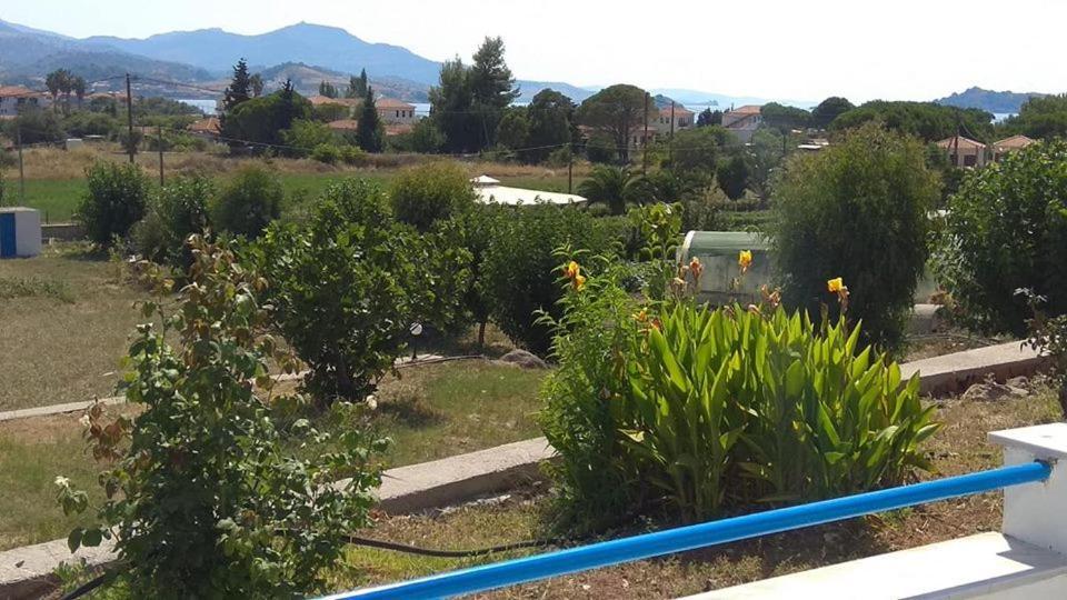 Kavaki Studios Πέτρα Εξωτερικό φωτογραφία